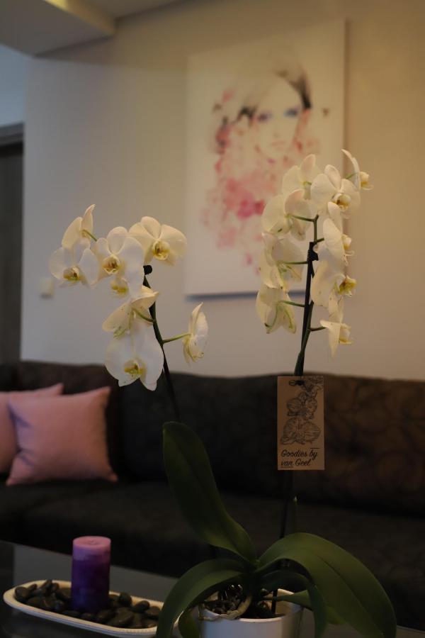 Deluxe Apartments Andreas Λιμενάρια Εξωτερικό φωτογραφία